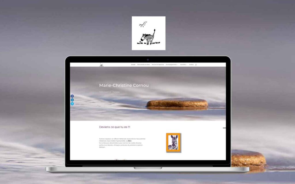 zebreandco refonte site vitrine
