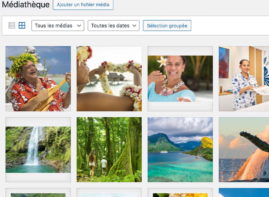 optimisation images wordpress