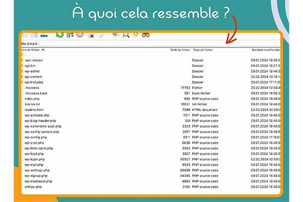 glossaire wordpress ftp