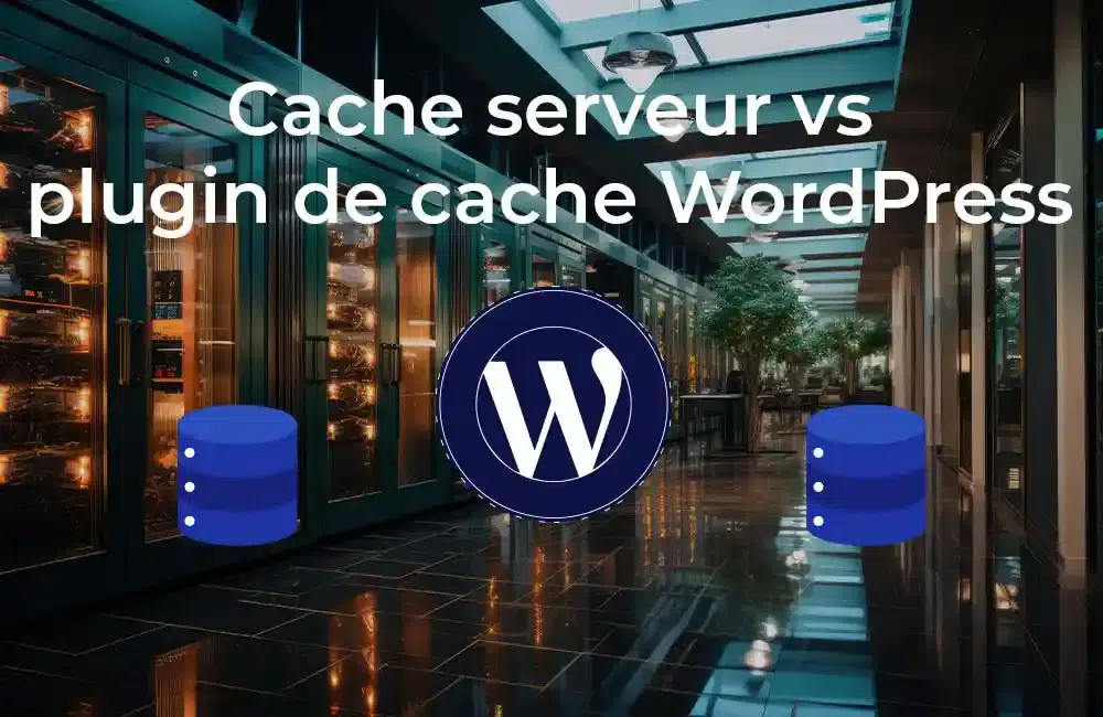 cache serveur vs plugin de cache lequel choisir